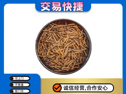 济宁回收散虫草